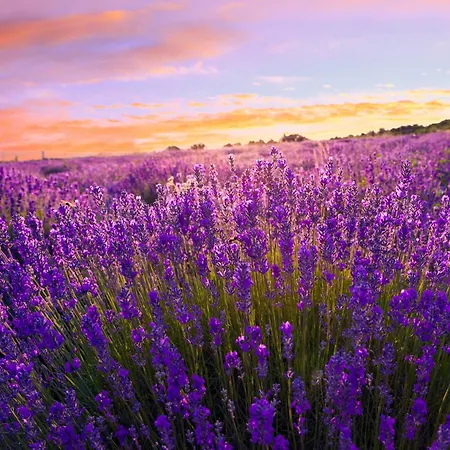 Apartmán Siofok, Somogy 10