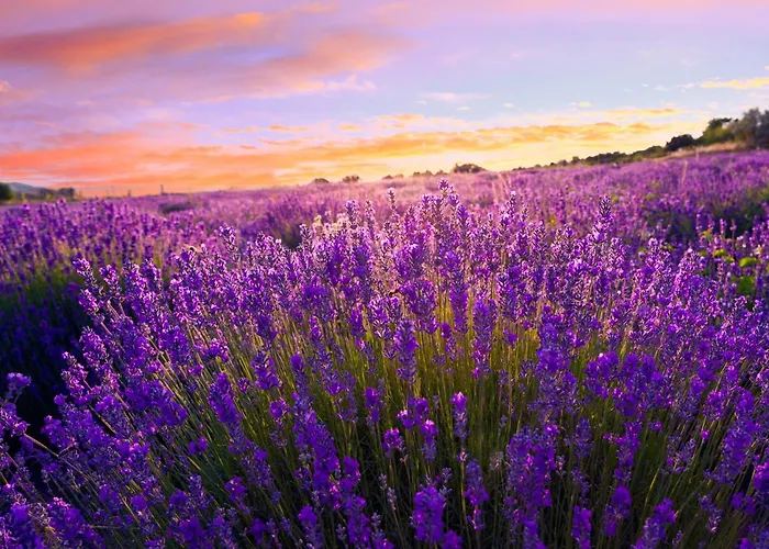 Apartmán Siofok, Somogy 10